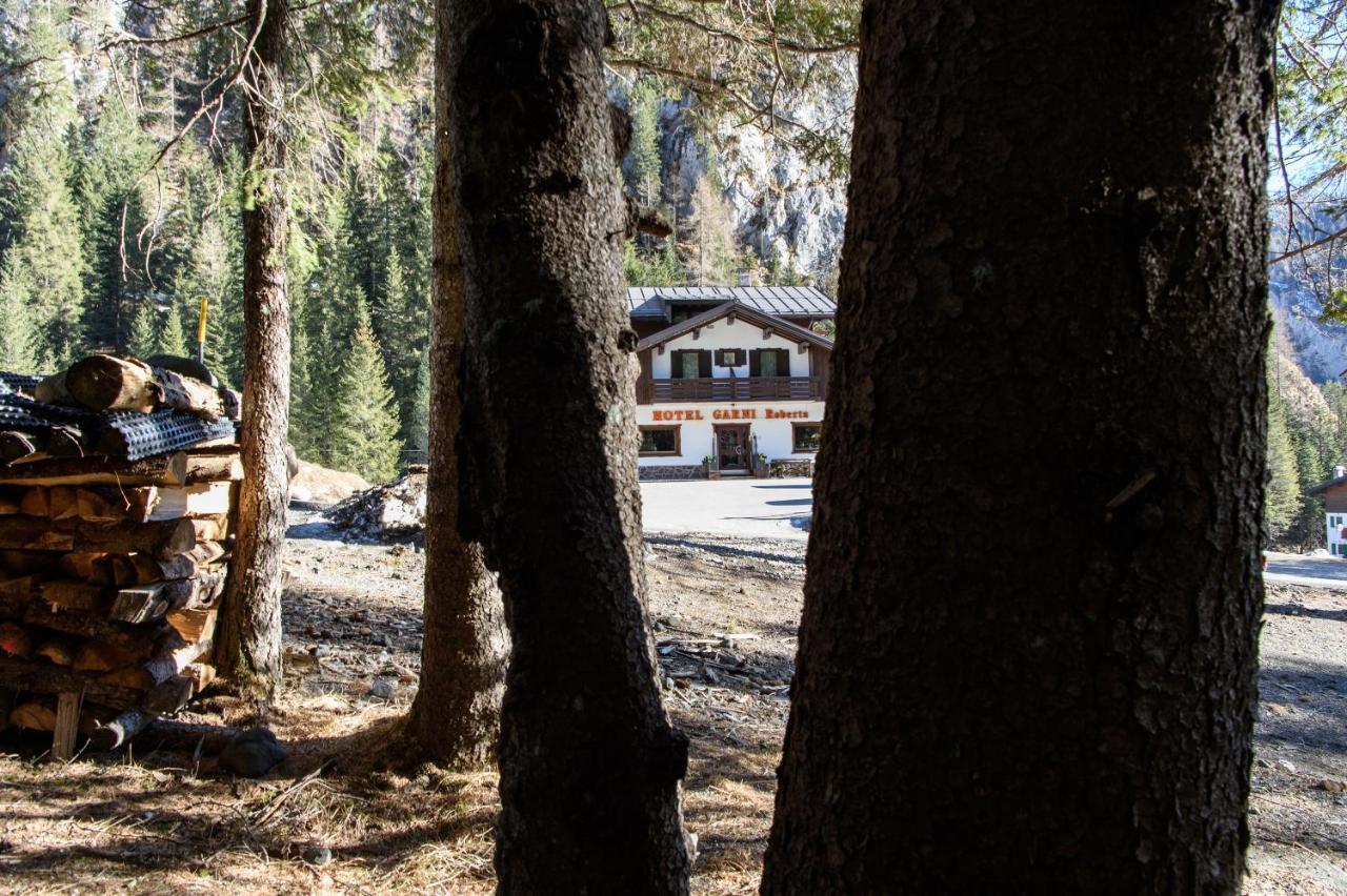 Hotel Garni Roberta Malga Ciapela Luaran gambar
